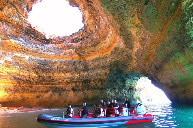 Dolphins Search and Benagil Caves from Albufeira - Searching for dolphins along the Algarve coast