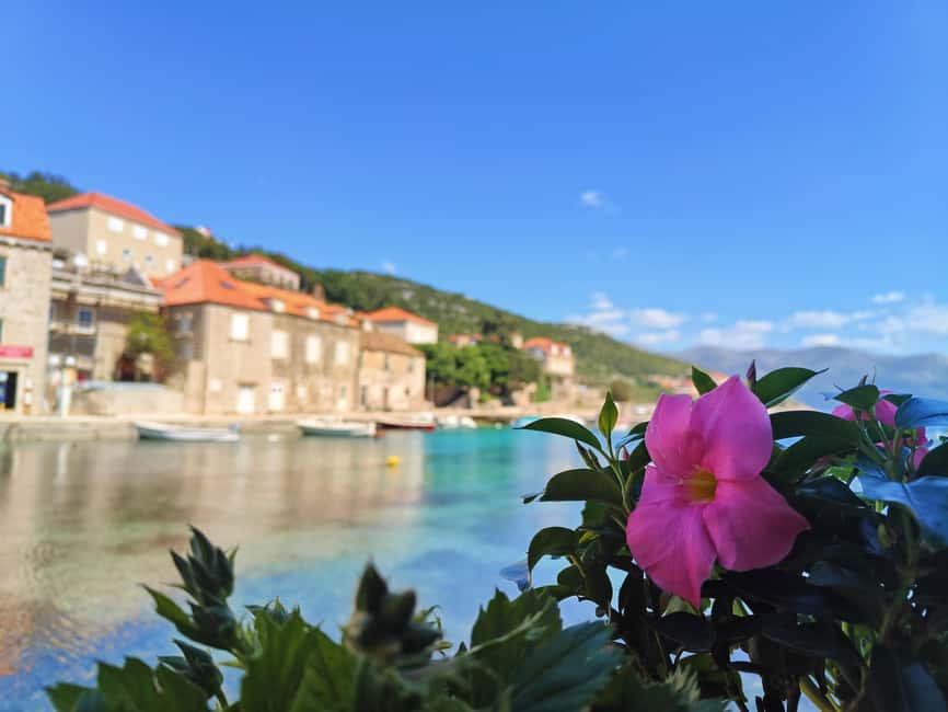 Dubrovnik: Blue Cave & Elaphiti Islands Full-Day Boat Tour - The Quiet Finish on Car-Free Koločep