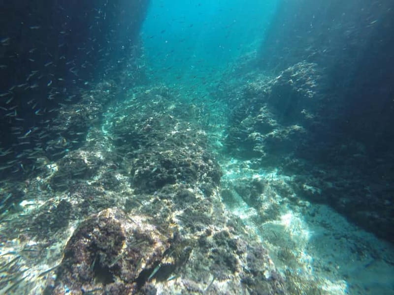 Dubrovnik: Blue Cave, Green Cave & Sunj Beach Speedboat Tour - Practical tips for a smoother outing