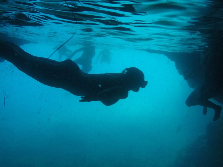 Dubrovnik: Blue Cave & Sunj Beach Boat Tour with Drinks - A fast boat into the Elaphiti Islands