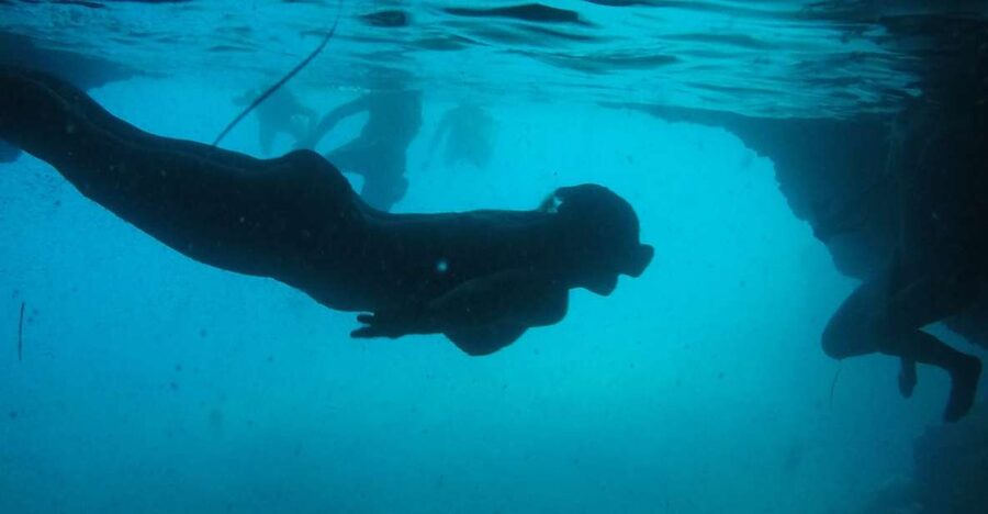 Dubrovnik: Blue Cave & Sunj Beach Boat Tour with Drinks - Swimming through the Three Green Caves