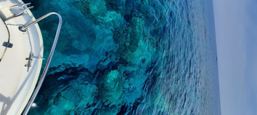 Dubrovnik: Blue Cave Tour by Speedboat - Key points at a glance