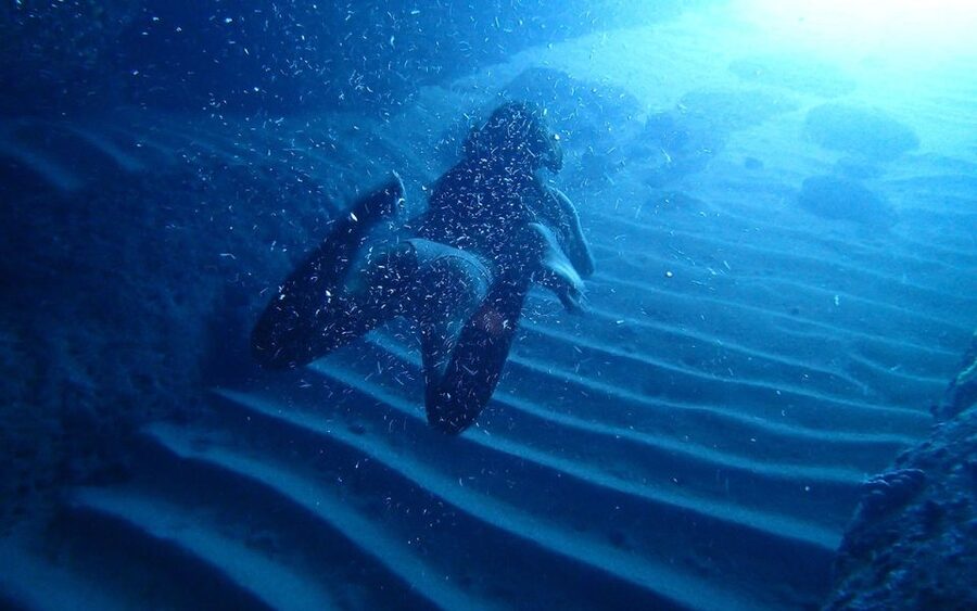 Dubrovnik: Blue Cave Tour with Panoramic Old Town View - Swimming through the Three Green Caves
