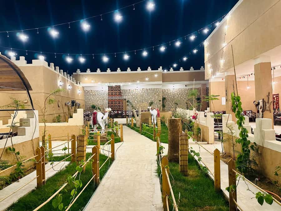 Edge of The World Riyadh,Camel Ride ,Bat Cave Visit & Dinner - What the $60 price really covers