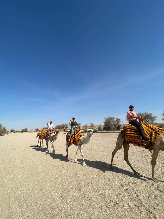 Edge of The World Riyadh,Camel Ride ,Bat Cave Visit & Dinner - Meeting at Saad Square and choosing your departure