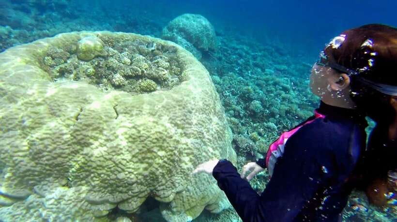 El Nido: Island Hopping Tour B Cudognong Cave & More - Popolkan Island for reefs and clear water