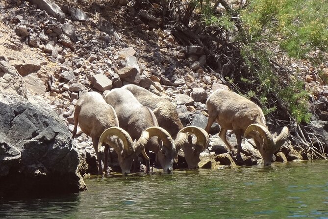 Emerald Cave & Black Canyon Kayak Tour with Vegas Pickup - Emerald Cave and the question of crowding