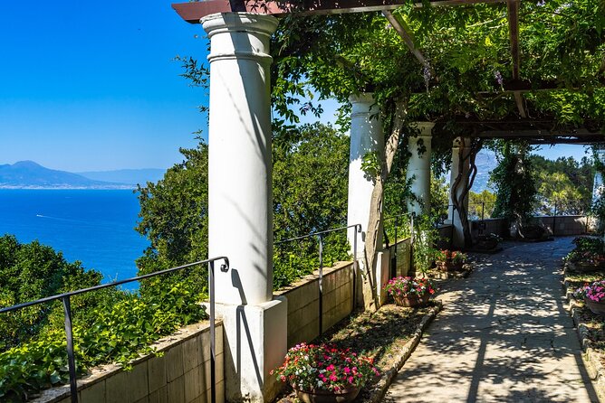 Exclusive Capri, Anacapri & Blue Grotto Private Tour from Naples - Augustus Gardens and the Faraglioni view