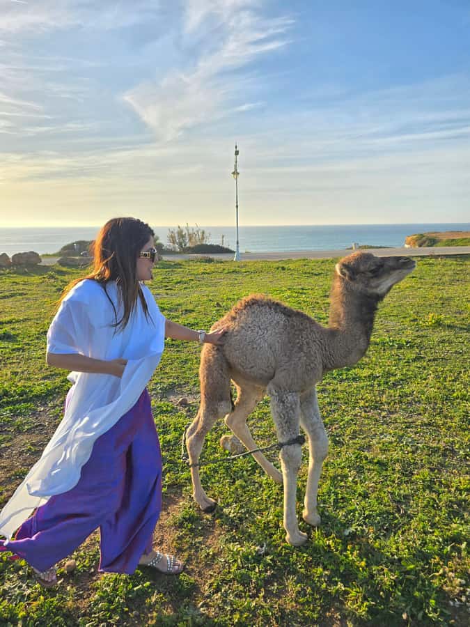 Explore Tangier: Cap Spartel, Cave, & Camel Ride Adventure - Key points to know before booking