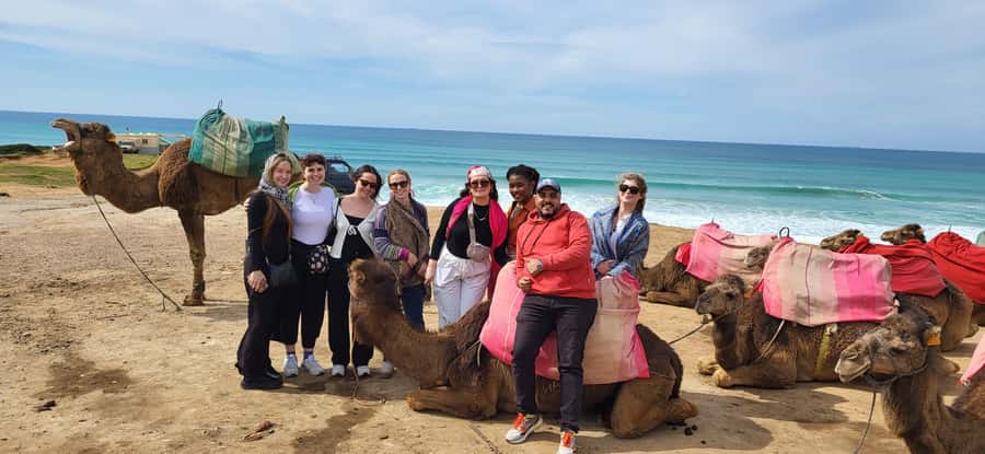 Explore Tangier: Cap Spartel, Cave, & Camel Ride Adventure - The drivers are a major part of the experience