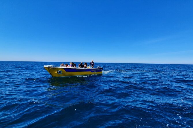 Express Tour - Benagil Cave - Is $24.19 good value?