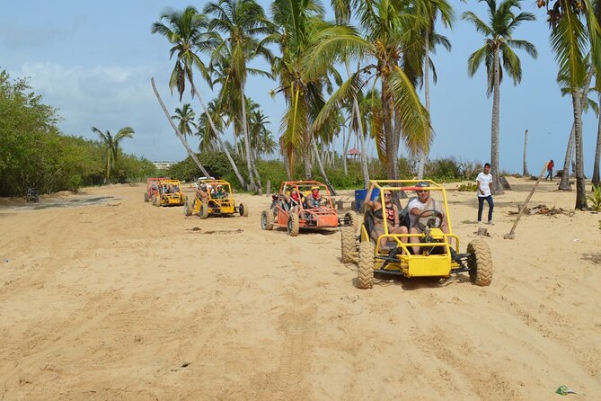 Extreme Boogie Tour in Punta Cana, Macao Beach and Cenote - Coffee, Cocoa, Rum, and the Typical House Stop