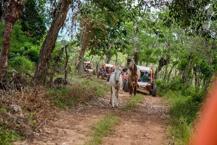 Flintstones Buggy, Cave and Adventure in Bavaro - The return ride and ranch finish