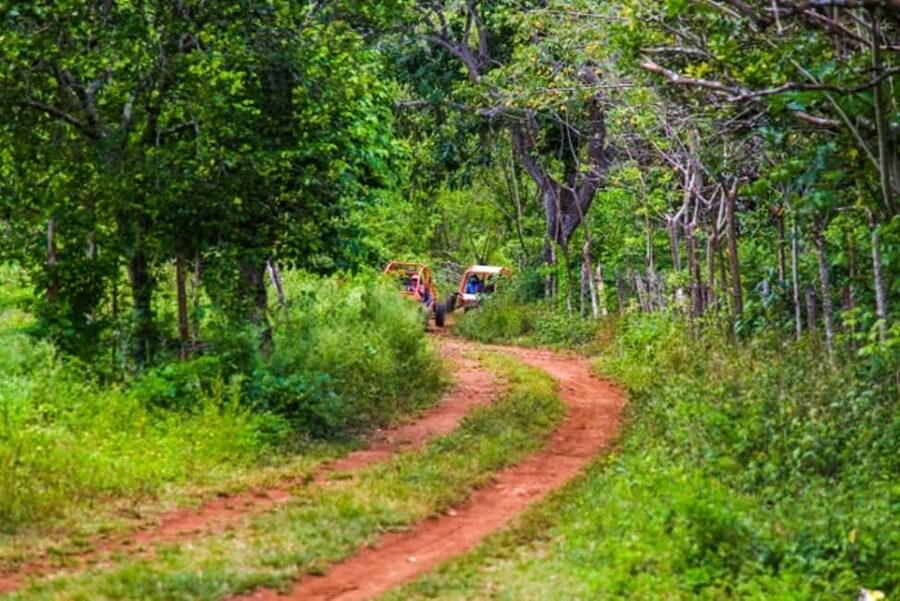 Flintstones Buggy, Cave and Adventure in Bavaro - Is $60 a fair price?
