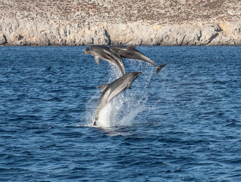 From Ag Anna: Rina's Cave and Ano and Kato Koufonisi Cruise - Three hours on Ano Koufonisi