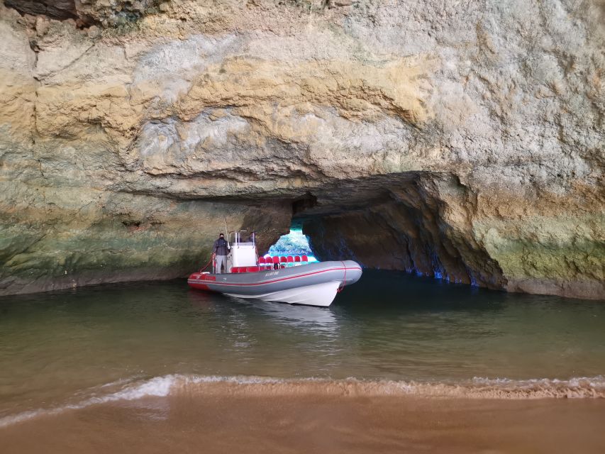 From Albufeira: Benagil Caves and Dolphins Guided Boat Tour - Meeting at Albufeira Marina