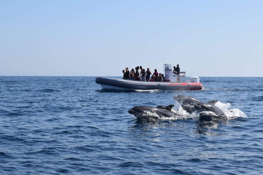 From Albufeira: Benagil Caves and Dolphins Guided Boat Tour - Entering the caves near Benagil