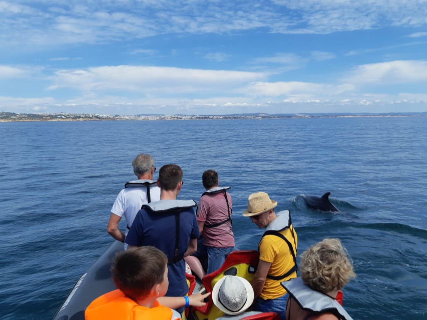 From Albufeira: Benagil Caves and Dolphins Guided Boat Tour - Weather, comfort, and who should book