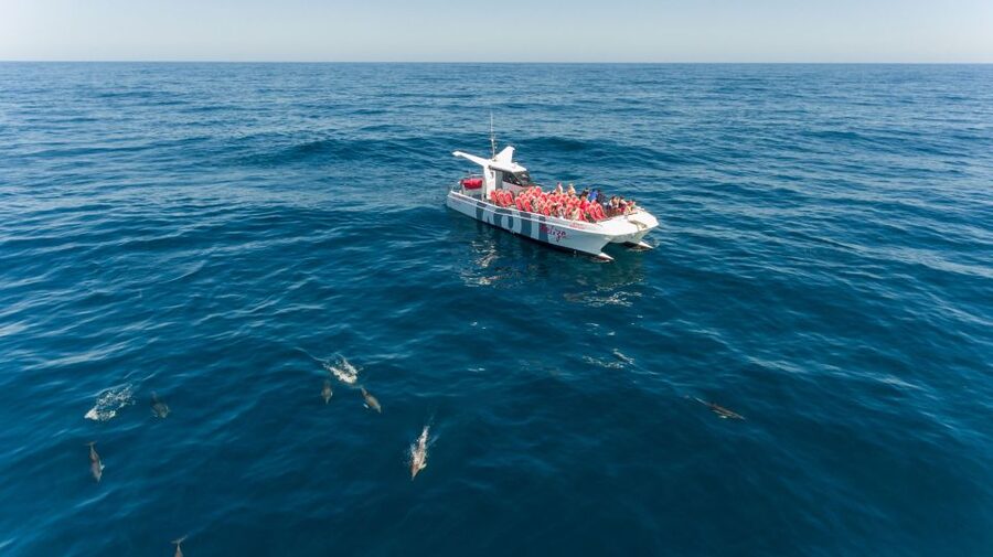 From Albufeira: Dolphins and Caves 2.5-Hour Boat Trip - Key points to know before booking