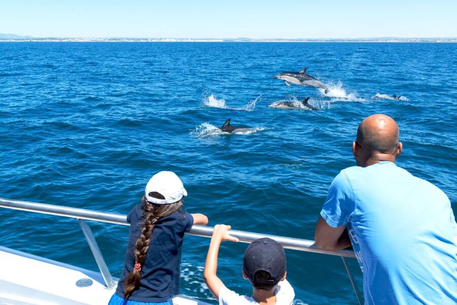 From Albufeira: Dolphins and Caves 2.5-Hour Boat Trip - Should you book this Albufeira boat trip?