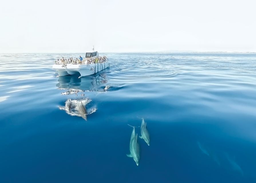 From Albufeira: Dolphins and Caves 2.5-Hour Boat Trip - Following the Algarve coast toward the caves