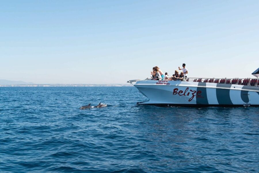 From Albufeira: Dolphins and Caves 2.5-Hour Boat Trip - Family suitability and comfort
