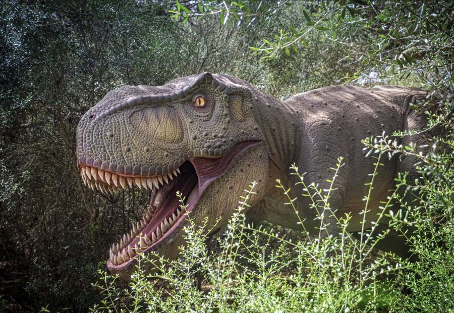 From Alcúdia: Dinosaurland and Hams' Caves Half-Day Trip - Leaving Alcúdia for Manacor
