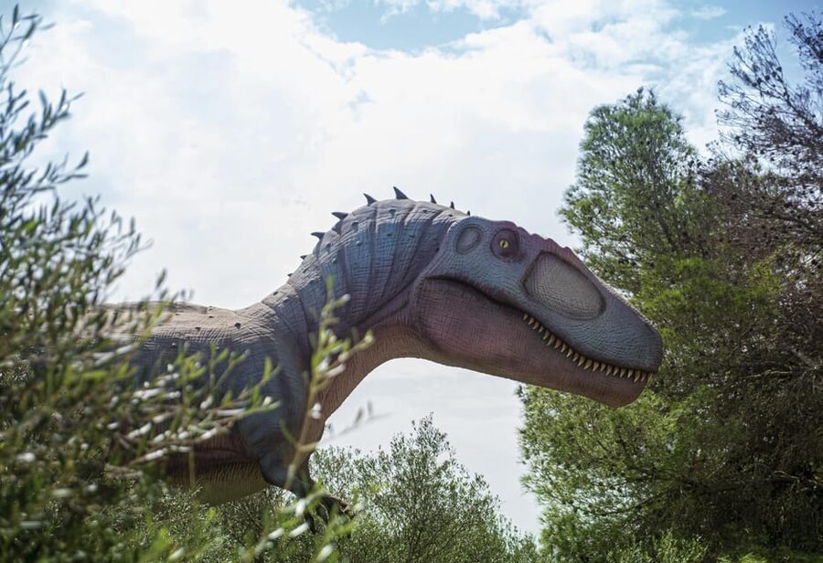 From Alcúdia: Dinosaurland and Hams' Caves Half-Day Trip - How the timing works in real life
