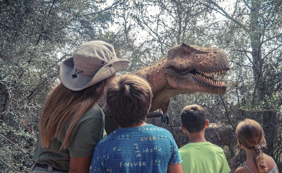 From Alcúdia: Dinosaurland and Hams' Caves Half-Day Trip - A few practical tips before you go
