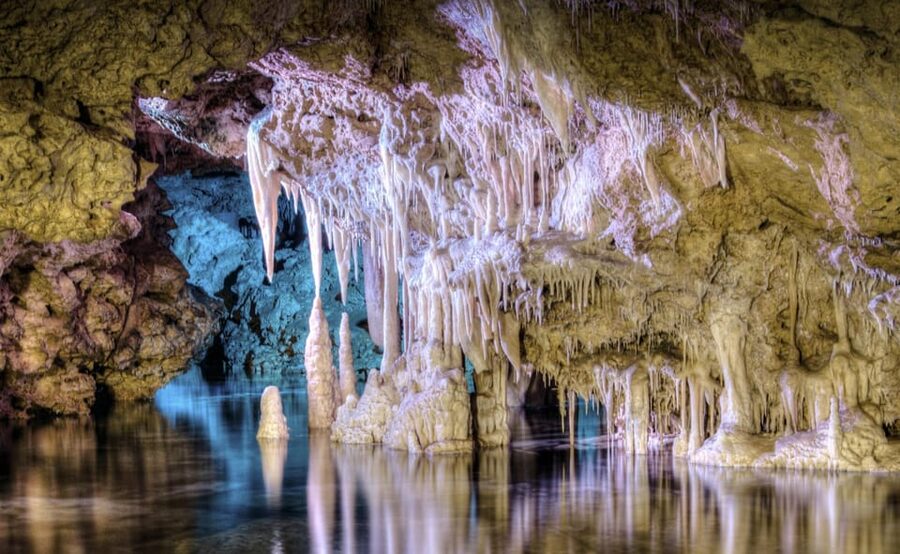 From Alcúdia: Dinosaurland and Hams' Caves Half-Day Trip - Should you book it?