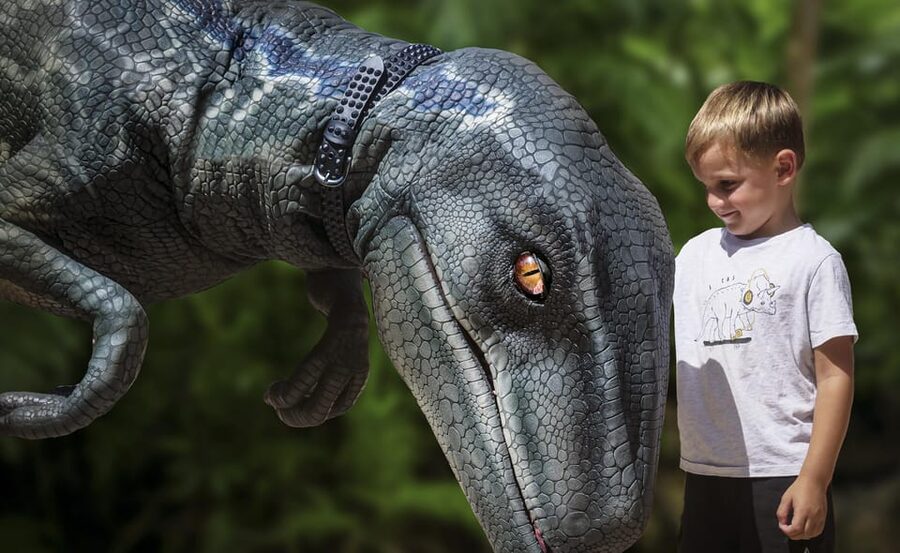 From Alcúdia: Dinosaurland and Hams' Caves Half-Day Trip - Dinosaurland’s prehistoric cast