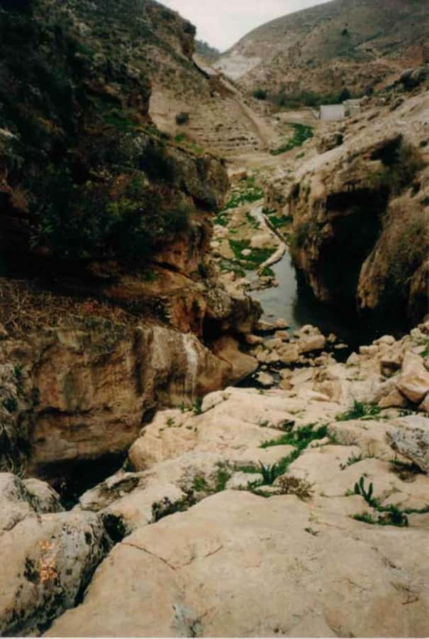 From Amman: Jerash, Umm Qais, and Jesus' Cave Private Trip - The order of the day and what the timing means