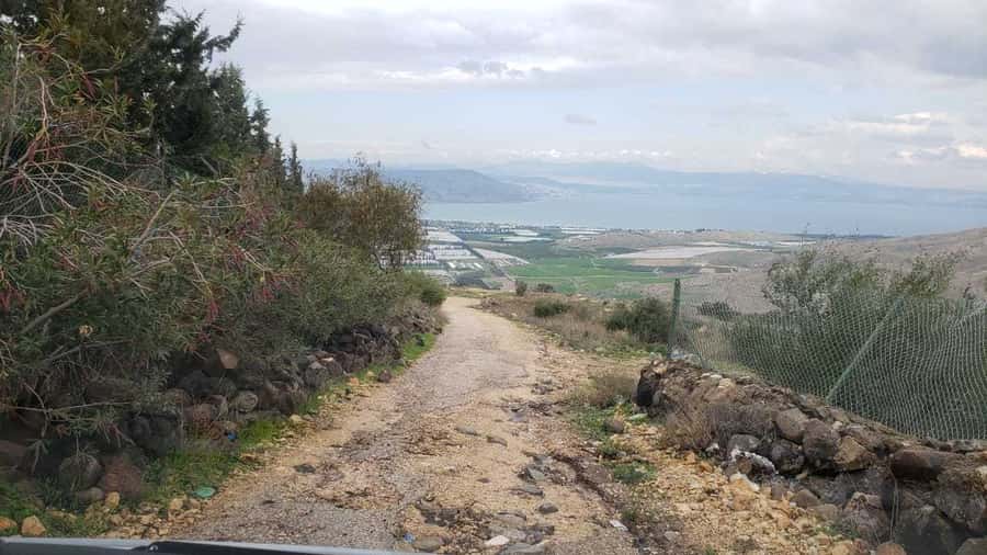 From Amman: Jerash, Umm Qais, and Jesus' Cave Private Trip - Who will get the most from this trip