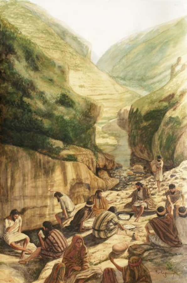 From Amman: Jerash, Umm Qais, and Jesus' Cave Private Trip - Should you book this private Jordan tour?
