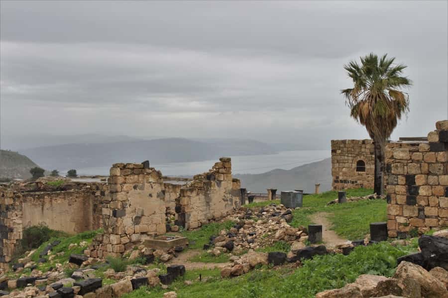 From Amman: Jerash, Umm Qais, and Jesus' Cave Private Trip - Jerash: Roman grandeur on a walkable scale