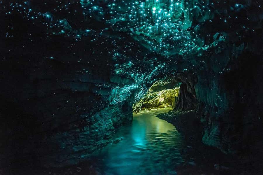 From Auckland: Day Trip to Waitomo Glow Worm Caves - Key things to know before booking