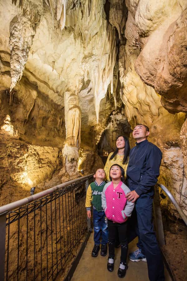 From Auckland: Day Trip to Waitomo Glow Worm Caves - Practical value at $166 per person
