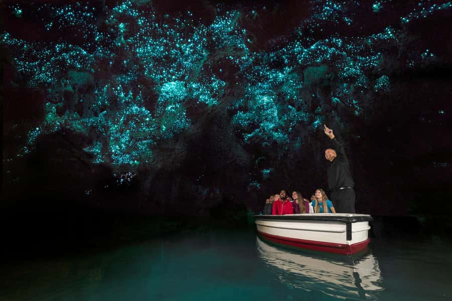 From Auckland: Day Trip to Waitomo Glow Worm Caves - Why the Waitomo trip works from Auckland