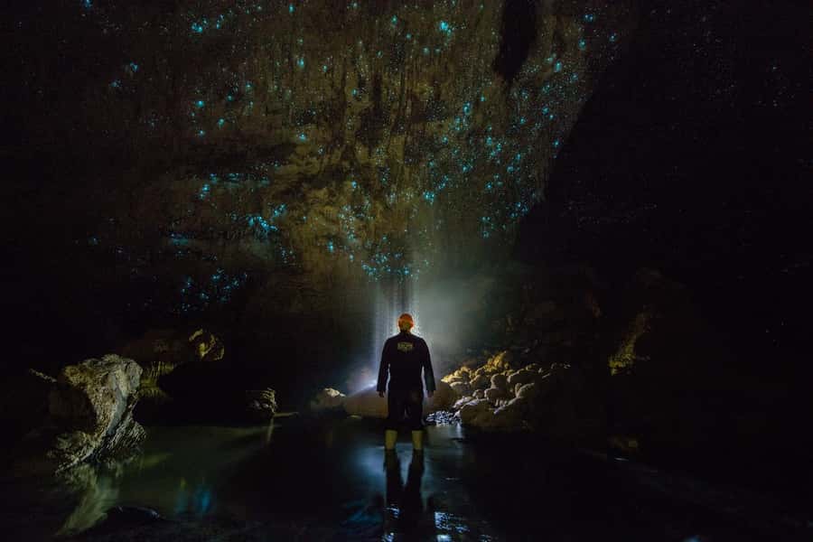From Auckland: Day Trip to Waitomo Glow Worm Caves - The quiet boat ride beneath the glowworms