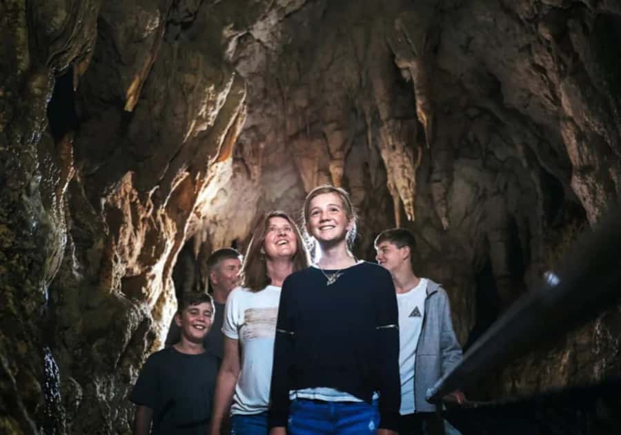 From Auckland: Day Trip to Waitomo Glow Worm Caves - Returning to Auckland with a guide at the wheel