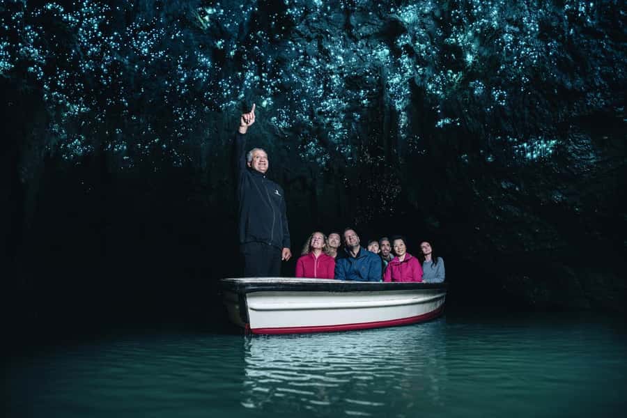 From Auckland: Day Trip to Waitomo Glow Worm Caves - Leaving Auckland for South Auckland and Waikato
