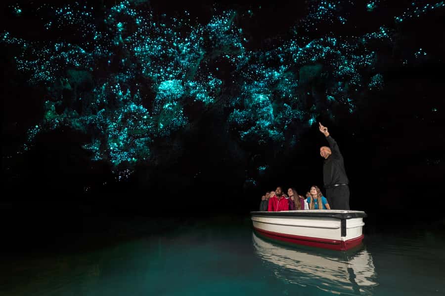 From Auckland: Hobbiton & Waitomo Caves Day Trip with Lunch - Price, timing, and practical limits