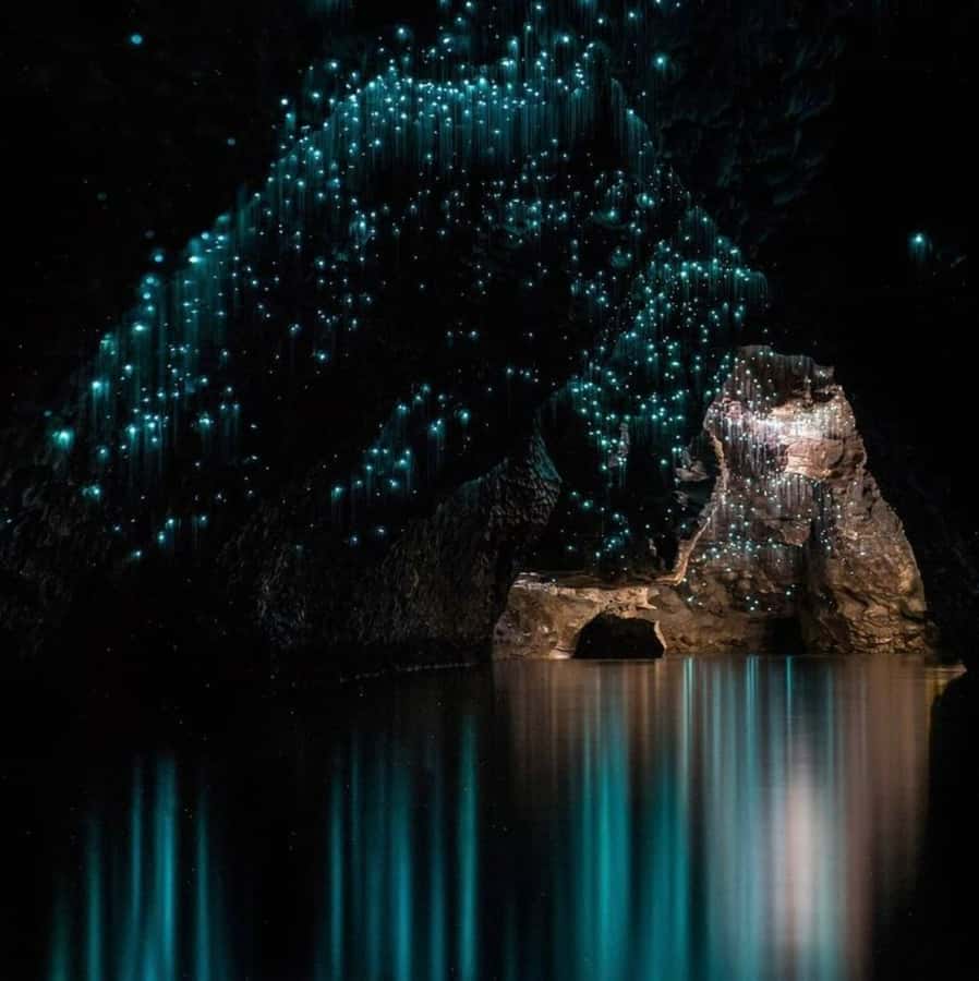 From Auckland: Waitomo Caves and Kiwi House Group Tour - FAQ