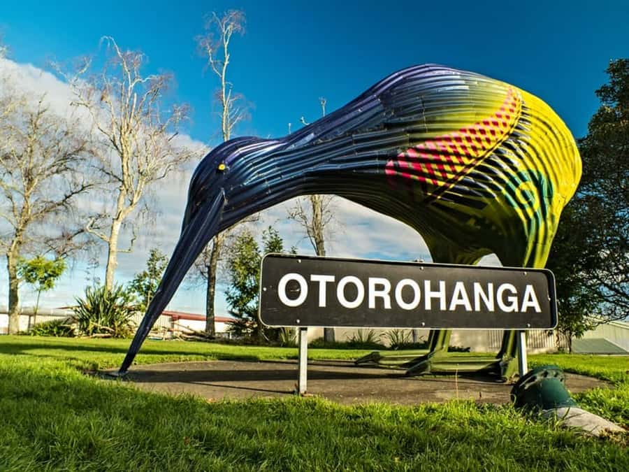 From Auckland: Waitomo Caves and Kiwi House Group Tour - Otorohanga Kiwi House and the search for native birds