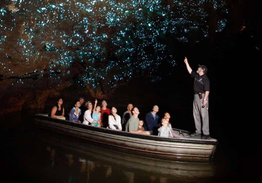 From Auckland: Waitomo Caves and Kiwi House Group Tour - Timing, comfort, and practical limits