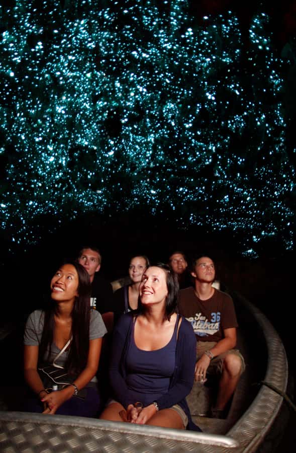 From Auckland: Waitomo Caves and Kiwi House Group Tour - Inside the Waitomo Glowworm Caves
