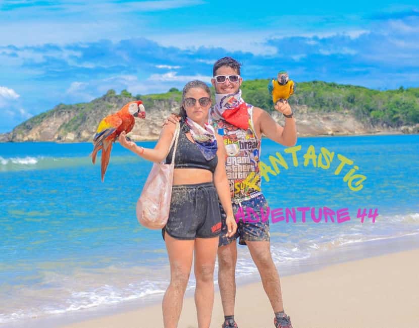 From Bávaro: Double Buggy Tour to Macao Beach and Cenote - Five things to know before you go