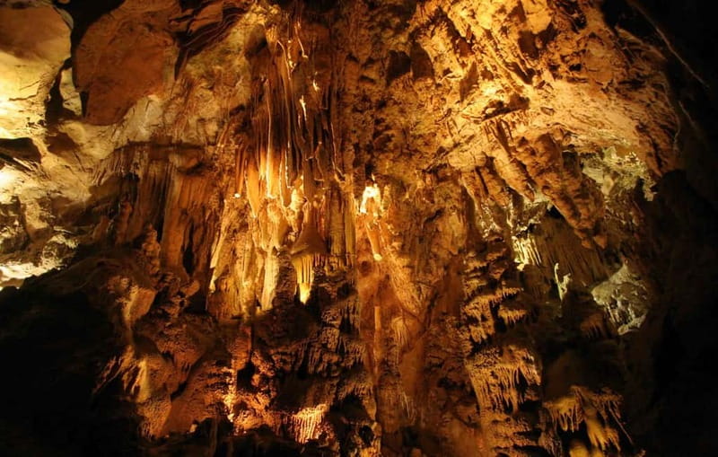 From Belgrade: Manasija Monastery and Resava Cave Tour - Resava Cave, an underground world