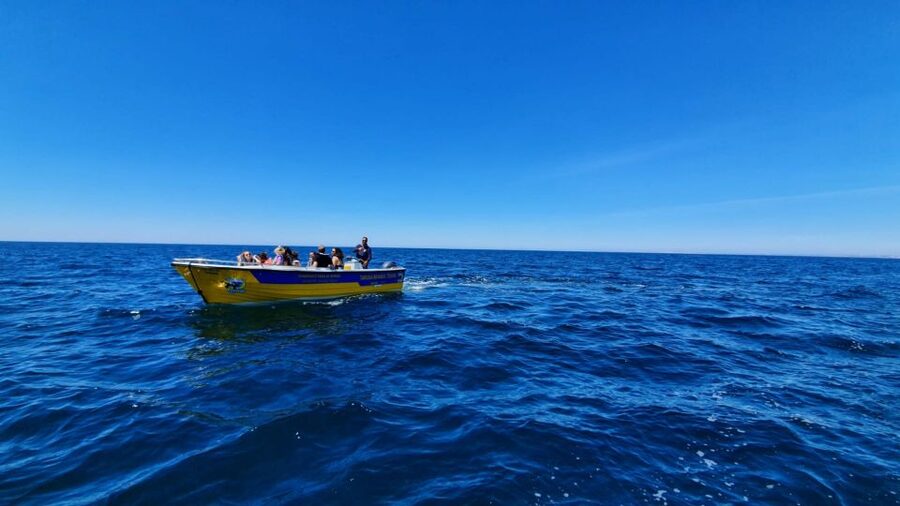 From Benagil: Benagil Cave & Marinha Beach Express Tour - Key points to know before booking