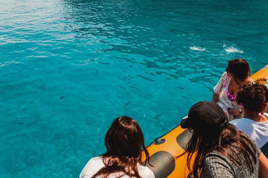 From Can Picafort: Dolphin Watching and Cave Boat Trip - A small boat with a big reason to go